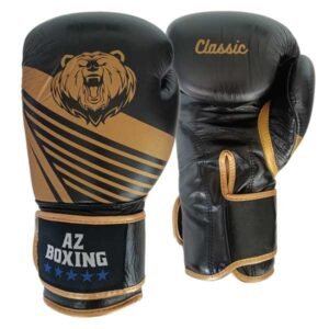 gants de boxe noir