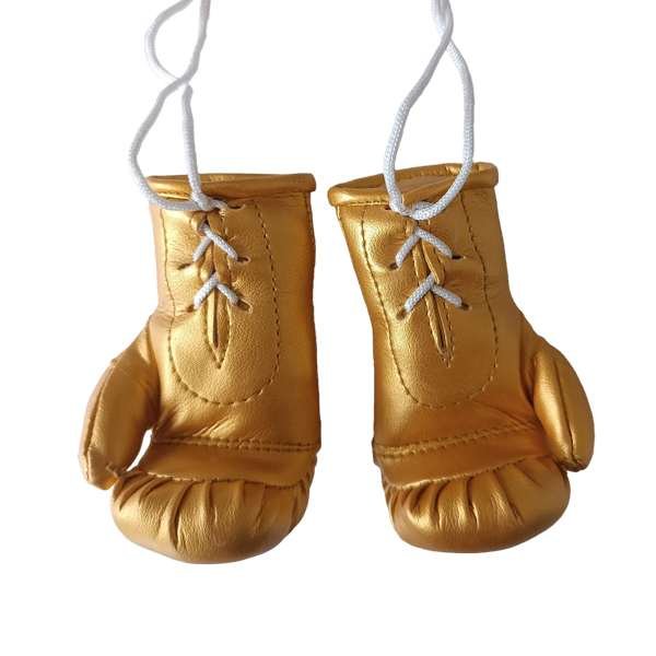 gants de boxe voiture